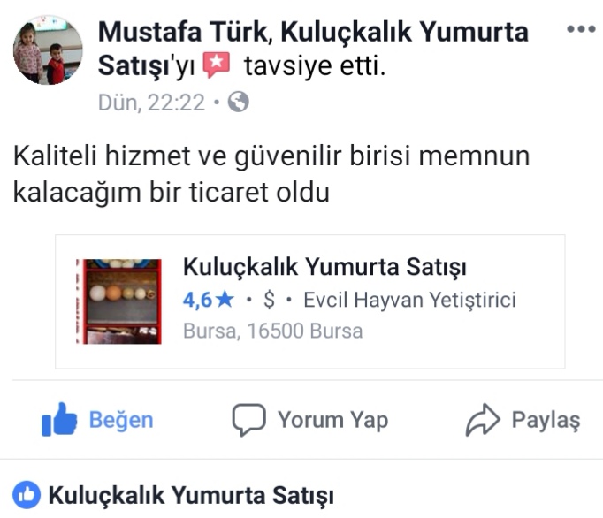 Yorum