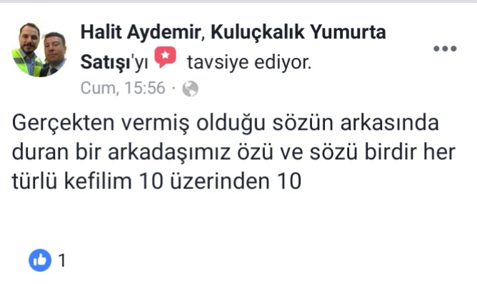 Yorum