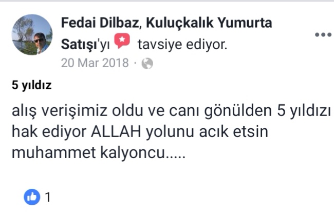 Yorum
