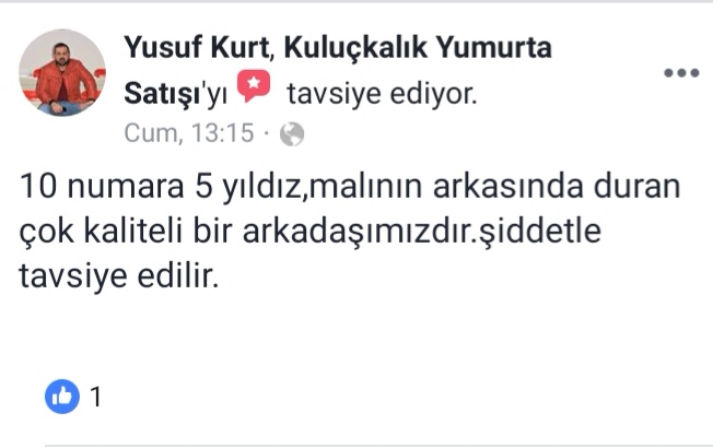 Yorum
